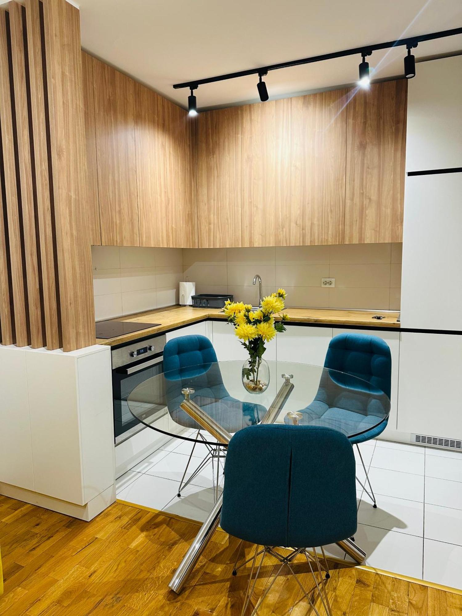 Central Apartment スコピエ エクステリア 写真